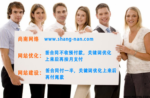 搜索引擎優(yōu)化技術(shù)