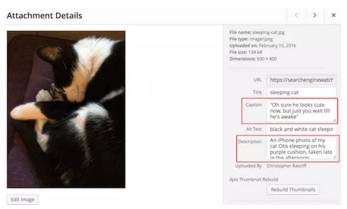 外貿自建站如何做好圖片的SEO優化，一圖勝過千言